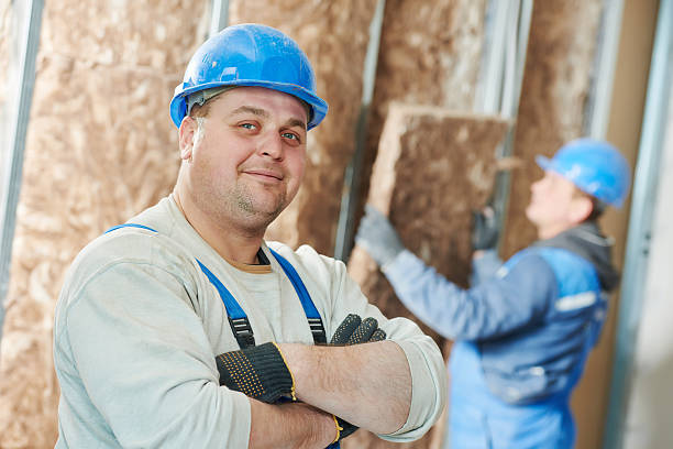 Best Insulation Maintenance and Repair in Wlowbrook, IL